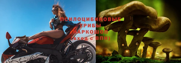 сатива Баксан