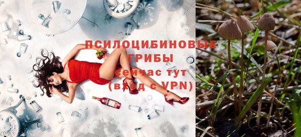 MESCALINE Арсеньев