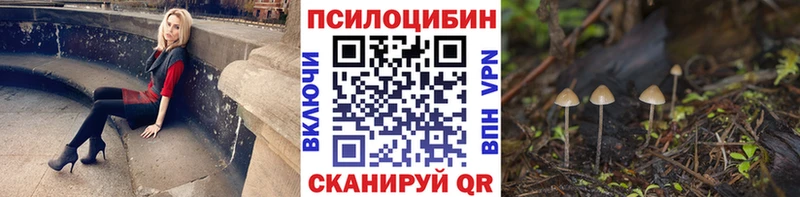 Псилоцибиновые грибы Psilocybine cubensis  Купить  Урень 
